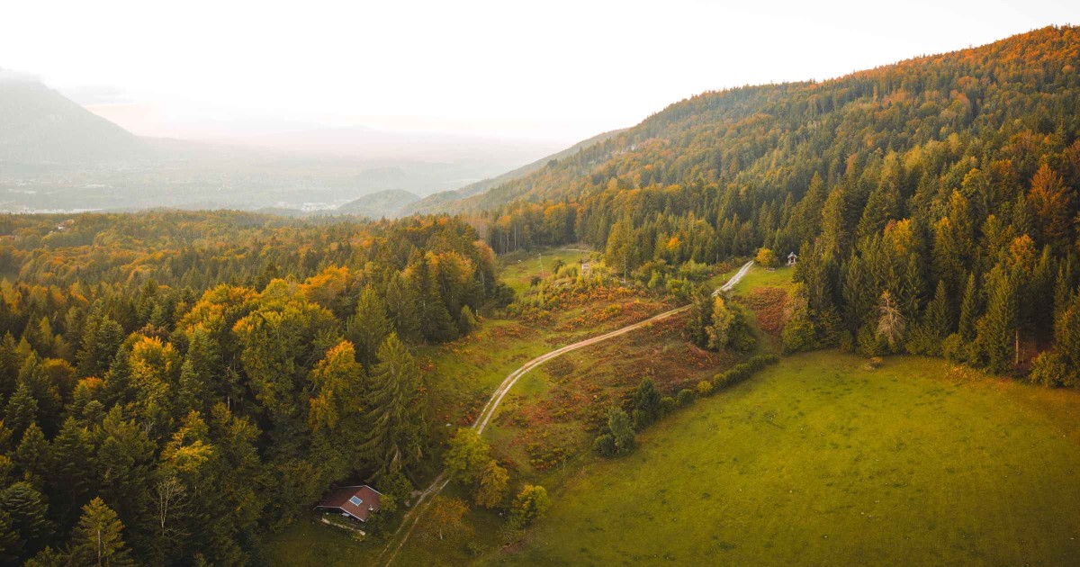 Schönalm im Herbst © TVB Puch - TVB Puch